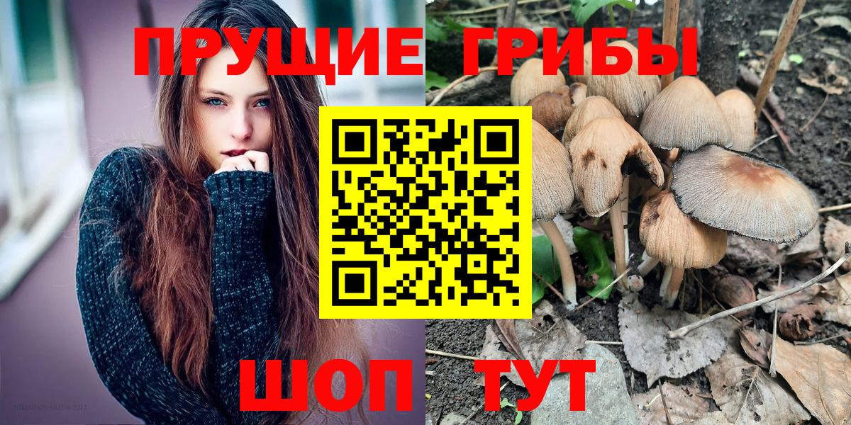Новотроицк  Псилоцибиновые грибы мицелий  Вход с VPN  Псилоцибиновые грибы Psilocybine cubensis 