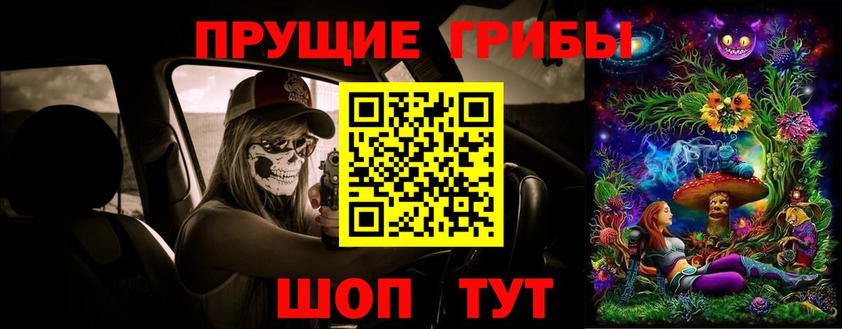 Галлюциногенные грибы Cubensis Новотроицк